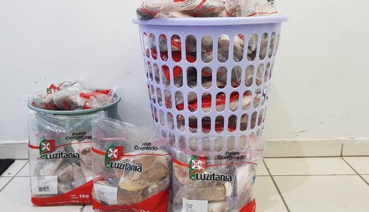 Parte de uma carga de peixe furtada foi encontrada na residência do comerciante | Foto Polícia Civil/Divulgação