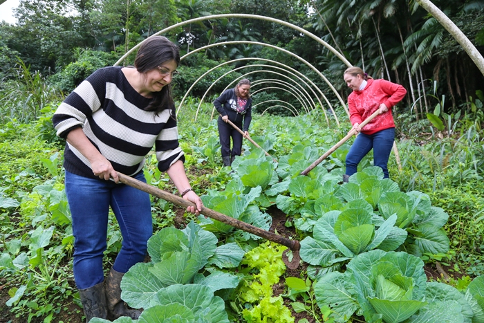 Série Riqueza Rural encerra evidenciando o trabalho da mulher no campo | Foto: Eduardo Montecino/ OCP News