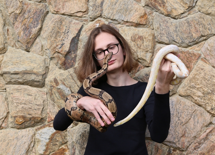 Serpentes recebem a atenção e carinho de Rafael | Foto Eduardo Montecino/OCP News