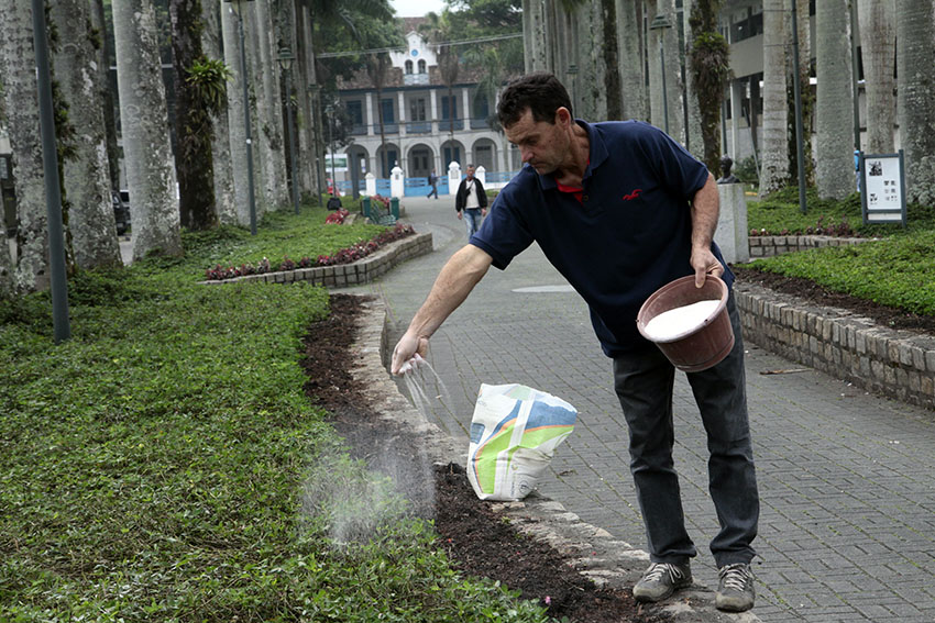 Correção da acidez do solo foi feita nesta sexta-feira (31). Nas próximas semanas, os canteiros devem ser adubados e receber flores | Foto Secom/Prefeitura de Joinville 