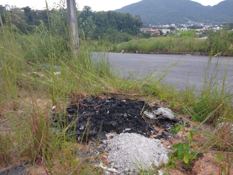 Lixo hospitalar foi descartado e queimado | Foto: Fábio Junkes/OCP News
