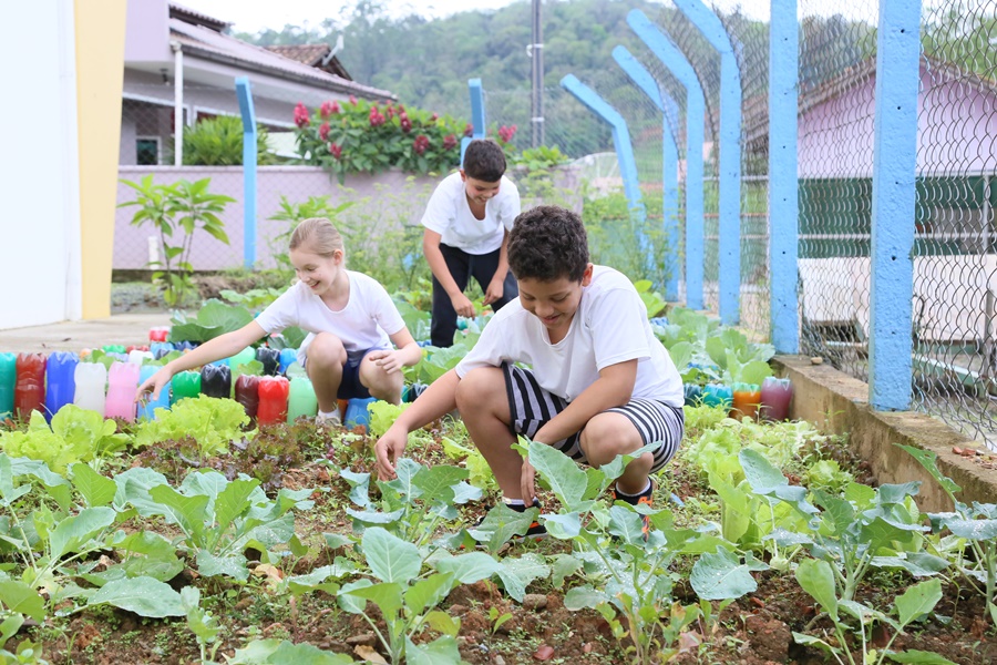 Crianças do 4º ano são responsáveis por manutenção da horta na escola | Foto: Eduardo Montecino