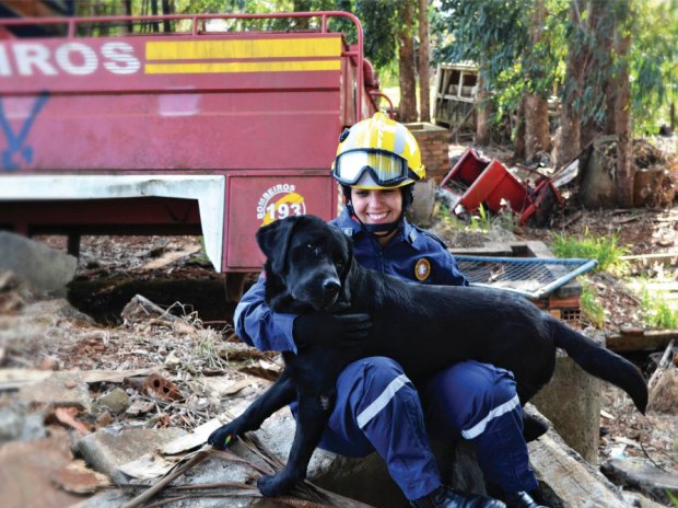 Amizade e parceria. Os binômios catarinenses (dupla de bombeiro militar e cão) são destaque na missão de Brumadinho | Fotos Divulgação Governo do Estado