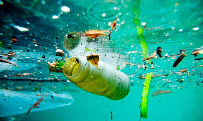 Dia Mundial da Água será marcado pela Frente de Combate ao Lixo ao Mar | Foto: Arquivo/Notibras