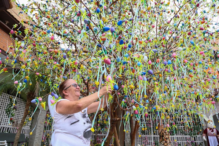 Uma das principais atrações desse ano é a Osterbaum, enfeitada com 9 mil casquinhas de ovos de plástico | Foto Eduardo Montecino/OCP News