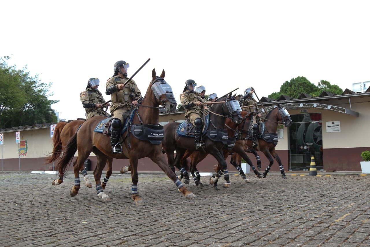 Grupamento avançado da cavalaria vai atuar em grandes eventos | Foto: PM/Divulgação