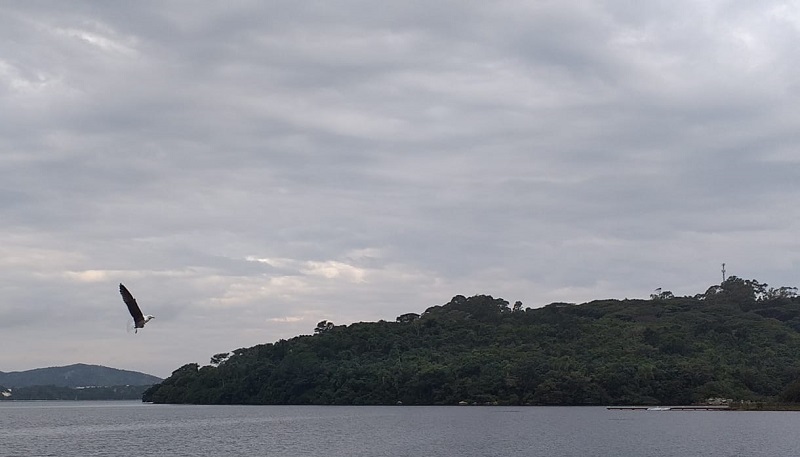 Segunda-feira amanheceu com muitas nuvens em Florianópolis | Foto Ewaldo Willerding/OCPNews