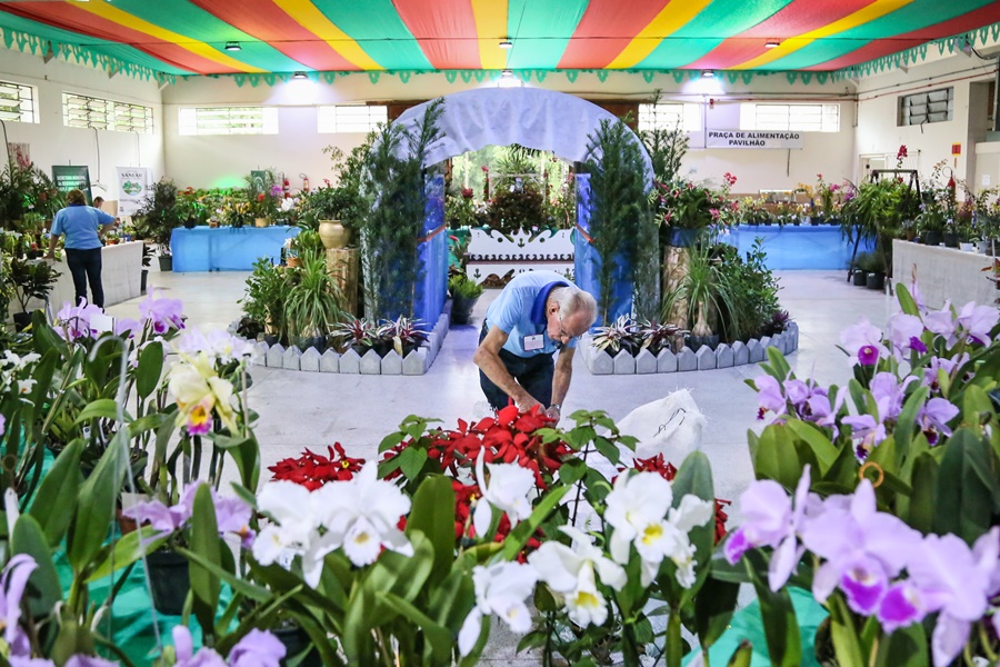 Mais de 2 mil plantas integram a 14ª Exposição de Orquídeas em Jaraguá do Sul