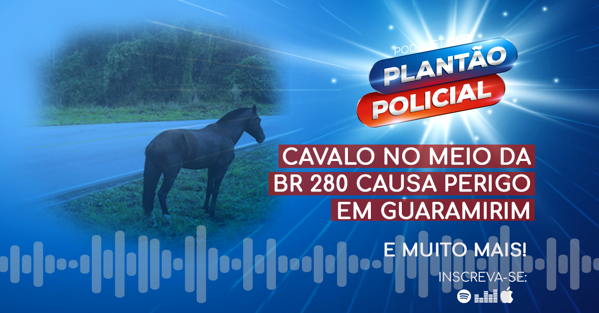 Podcast Plantão Policial: Cavalo no meio da BR 280 causa perigo em Guaramirim