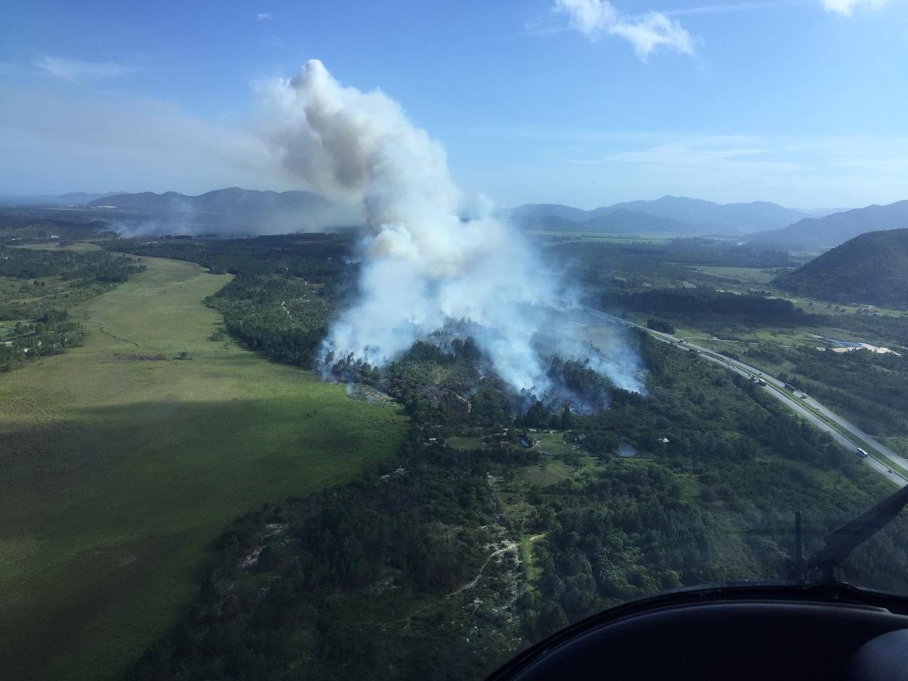 Incêndio no mato próximo à BR 101 | Foto CBMSC/Divulgação