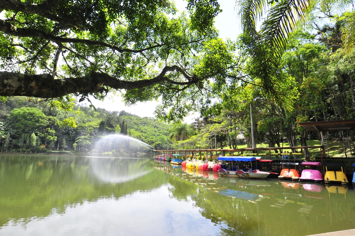 Parque Malwee: listamos mais de 50 curiosidades sobre um dos maiores pontos  turísticos de Jaraguá do Sul