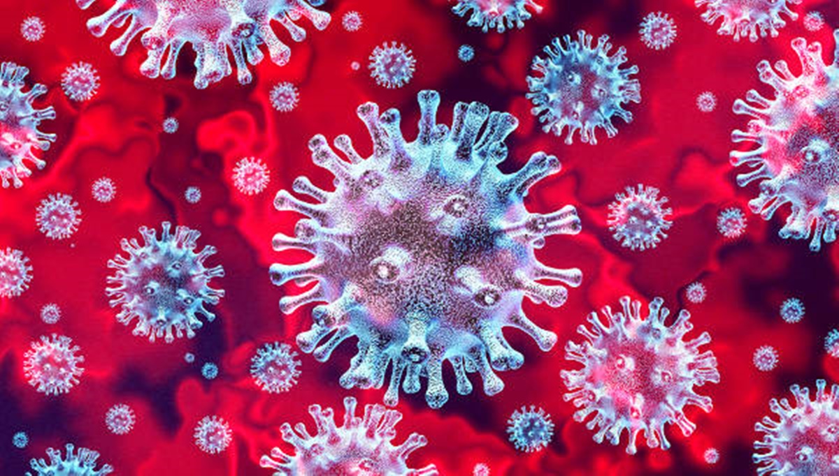 Imagem do coronavírus pelo microscópio