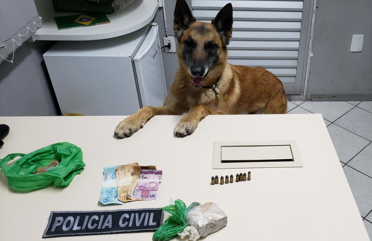 Cão treinado participou da operação | Foto Polícia Civil