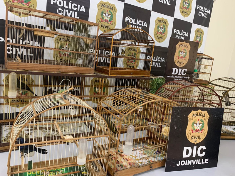 Aves foram localizadas no bairro Boa Vista | Foto: Polícia Civil/Divulgação