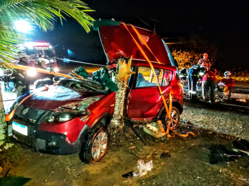Renault Sandero saiu da pista e colidiu com uma árvore | Foto: Fábio Junkes/OCP News