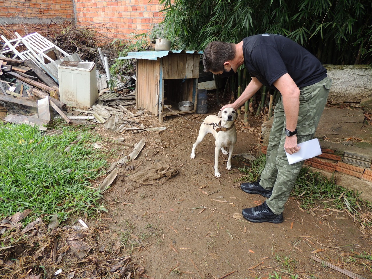 Polícia Civil realiza ação contra maus-tratos de animais em Criciúma