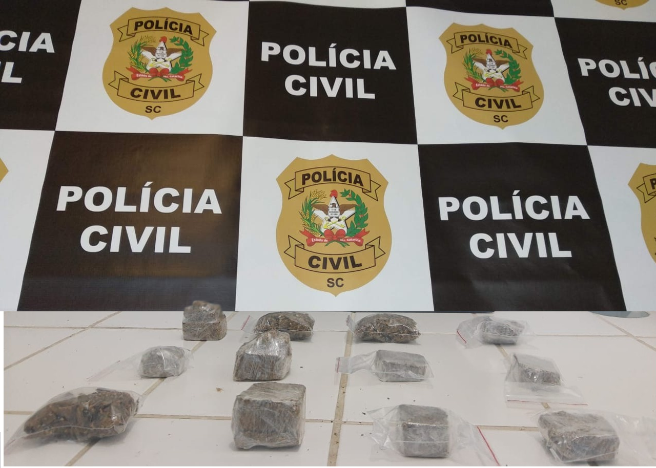 Policiais localizaram 12 frações de tijolos de maconha  | Foto Divulgação/Polícia Civil