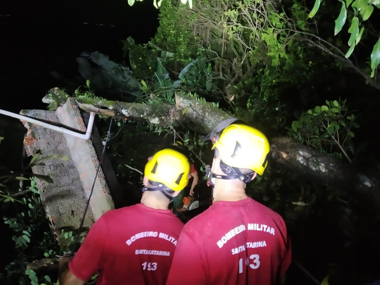 Árvore de 15 metros cai em cima de residência em Criciúma