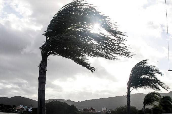 Defesa Civil de Santa Catarina alerta para rajadas de vento fortes na região