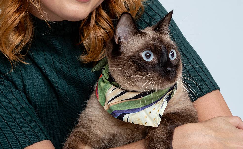 Em apoio à Ongs da causa animal, Lez a Lez lança linha de bandanas para pets