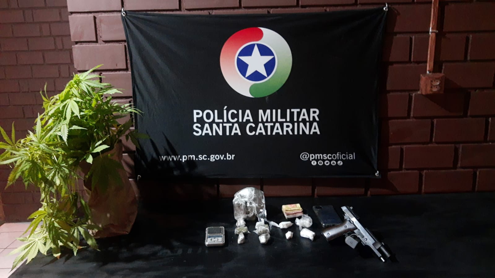 PM de Criciúma apreende drogas, pistola, dinheiro e pés de maconha