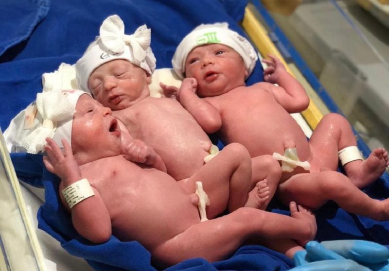 Ana, Eva e Antônio nasceram na quarta-feira (4) em Florianópolis | Foto: Reprodução/Instagram