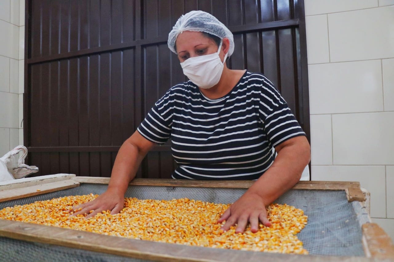 Por trás da “Fazendinha”: Agricultura familiar ganha ainda mais destaque em Nova Veneza