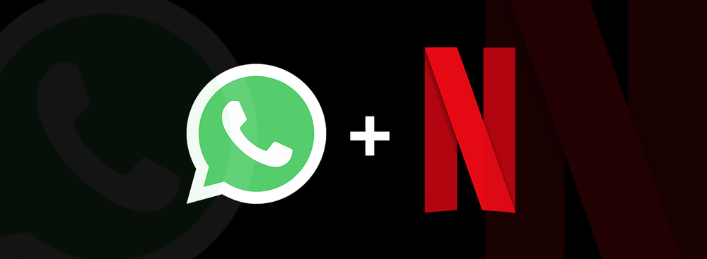 Qual é o WhatsApp da Netflix? Confira como salvar figurinhas oficiais