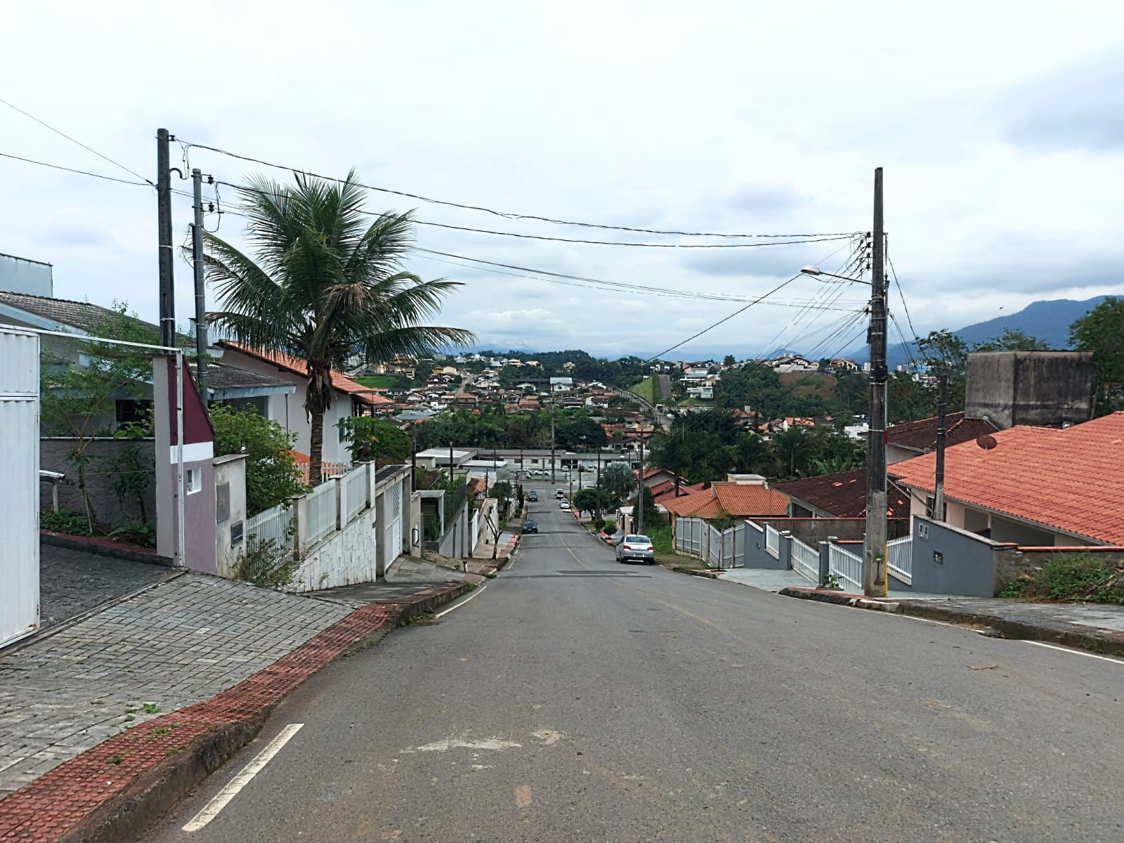 Ocorrência foi registrada na rua André Vitkowki, no bairro Barra do Rio Molha | Foto: Fábio Junkes/OCP News
