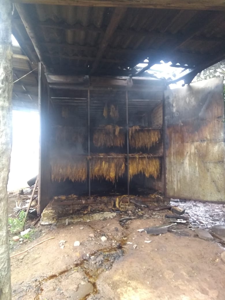 Estufa de fumo é atingida por incêndio no Extremo Sul catarinense