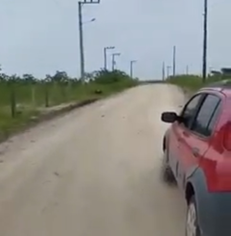 Vídeo: “Chuva de vibradores” registrada por morador no Sul de SC viraliza nas redes sociais