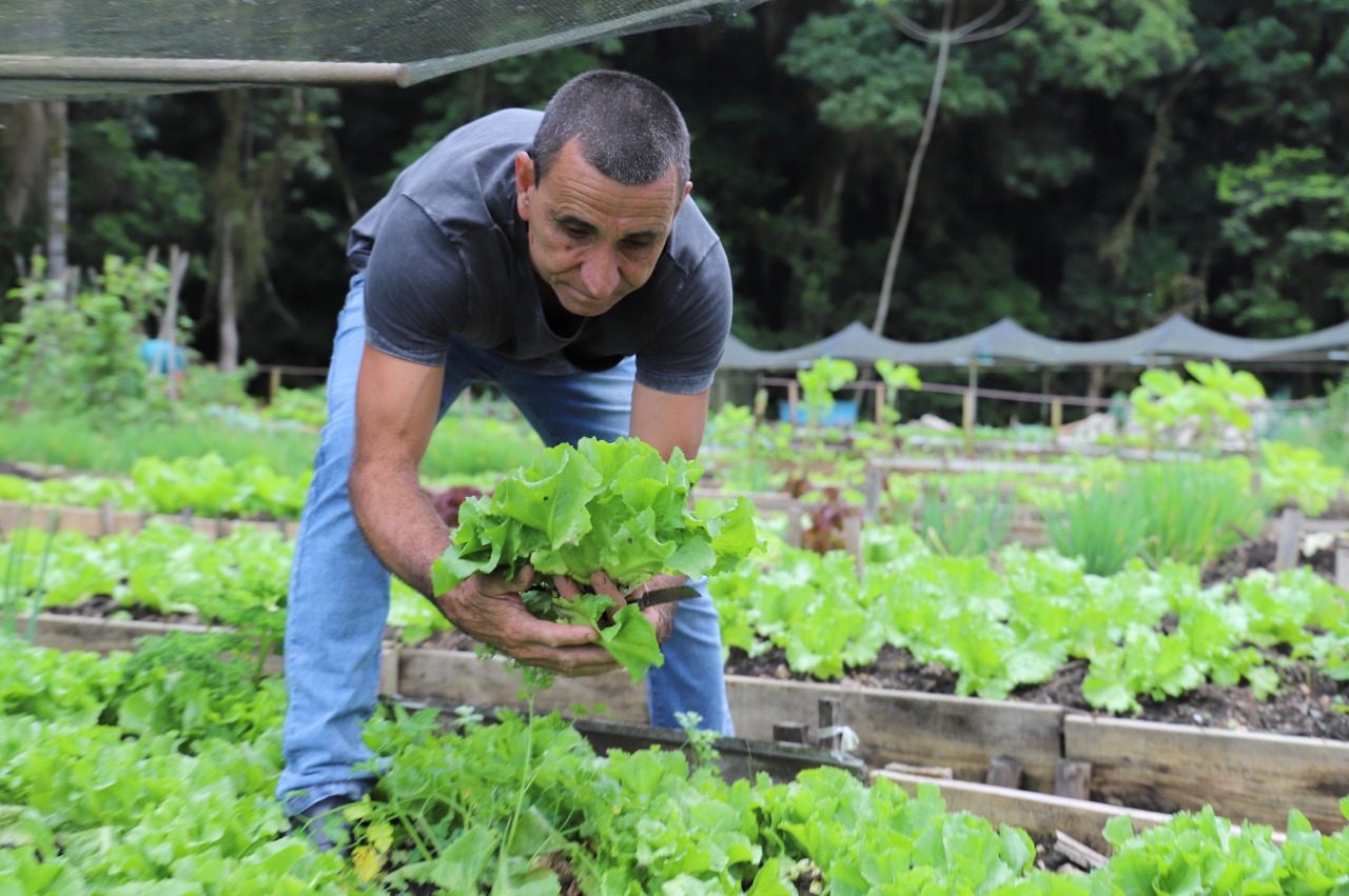 Programa Germinar se consolida em 50 hortas comunitárias de 22 bairros de Jaraguá do Sul