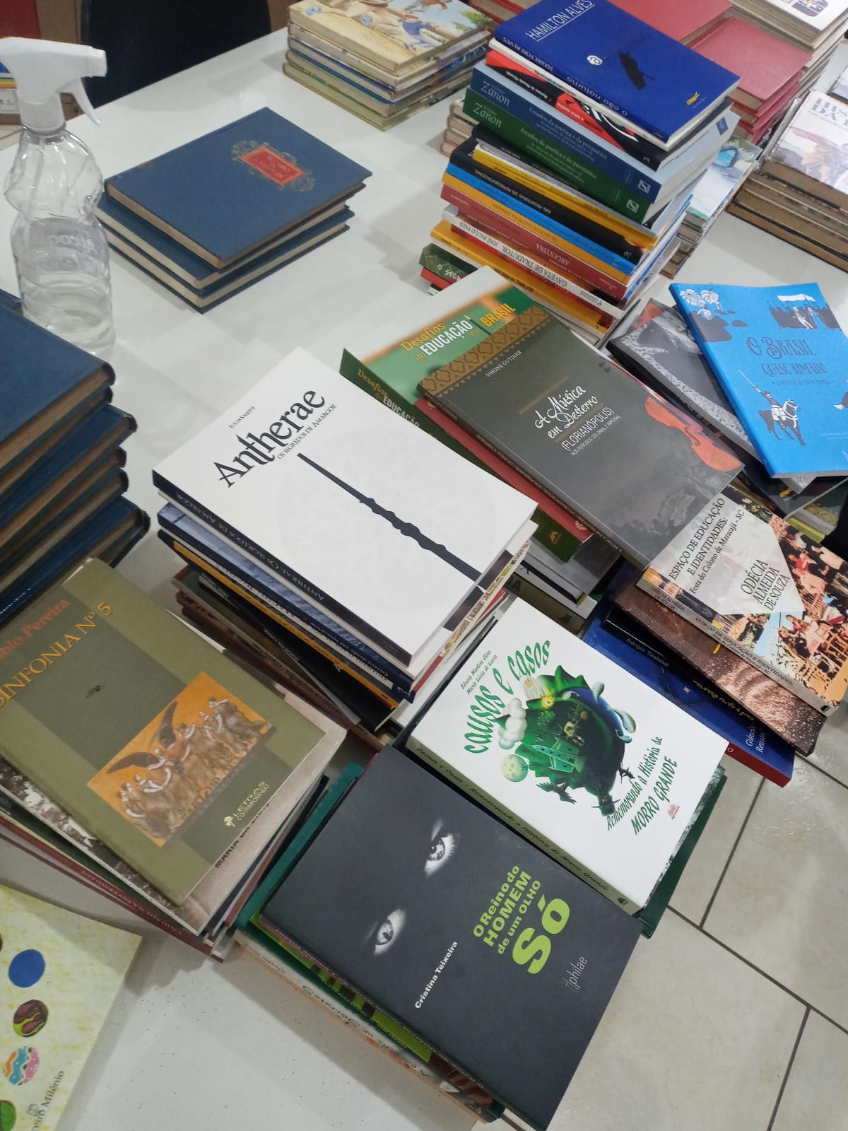 Biblioteca municipal de Siderópolis recebe doação de 90 livros de literatura regional e estadual