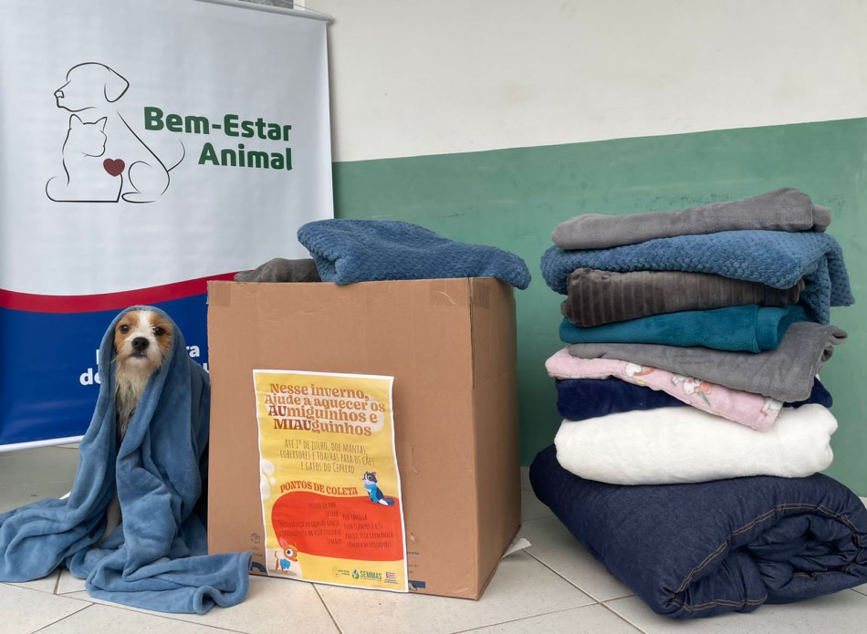 Campanha do Agasalho Animal em Blumenau arrecada mais de 300 itens