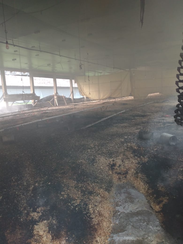 Aviário é alvo de incêndio em Araranguá