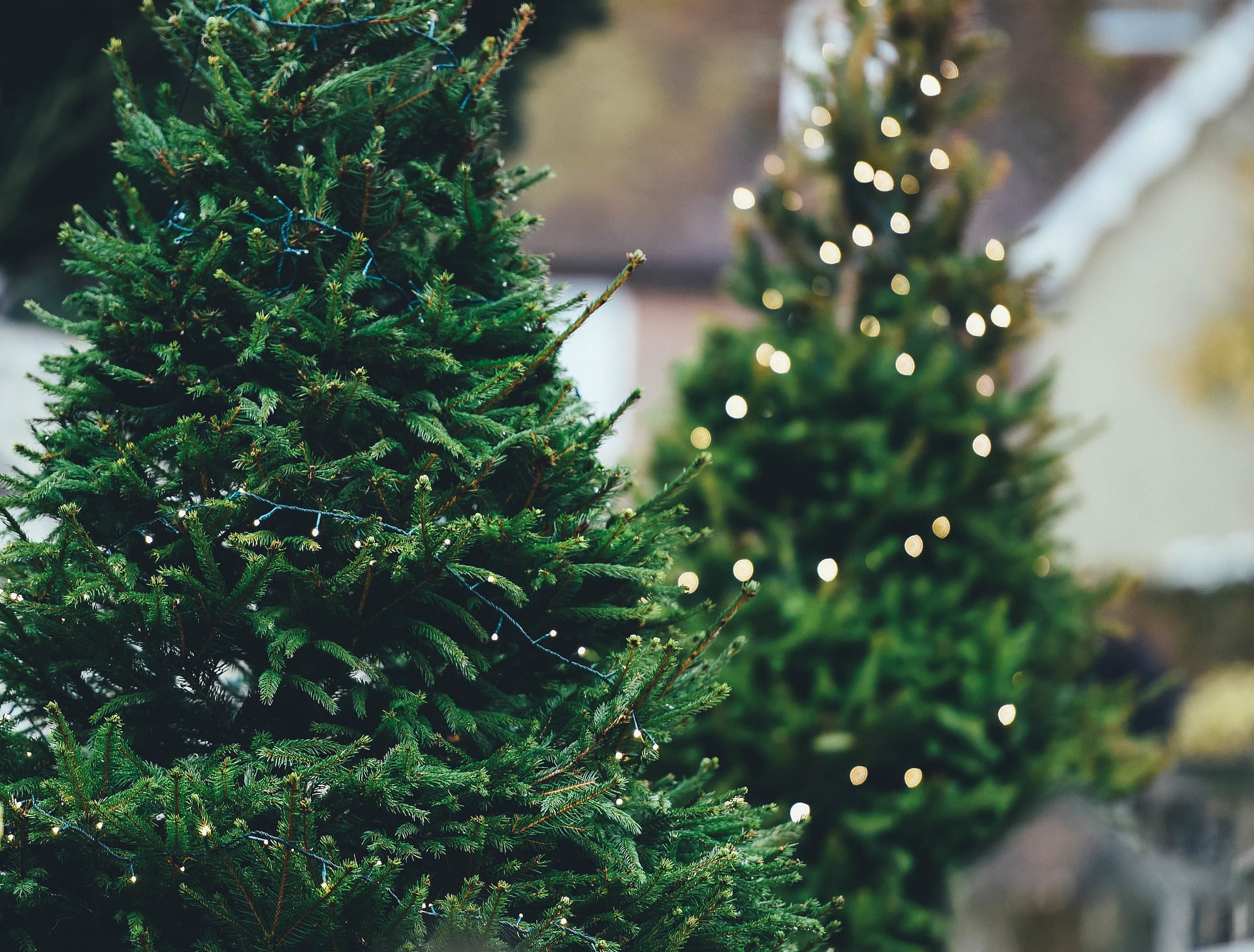Qual a data certa para montar e desmontar a árvore de Natal? Entenda!