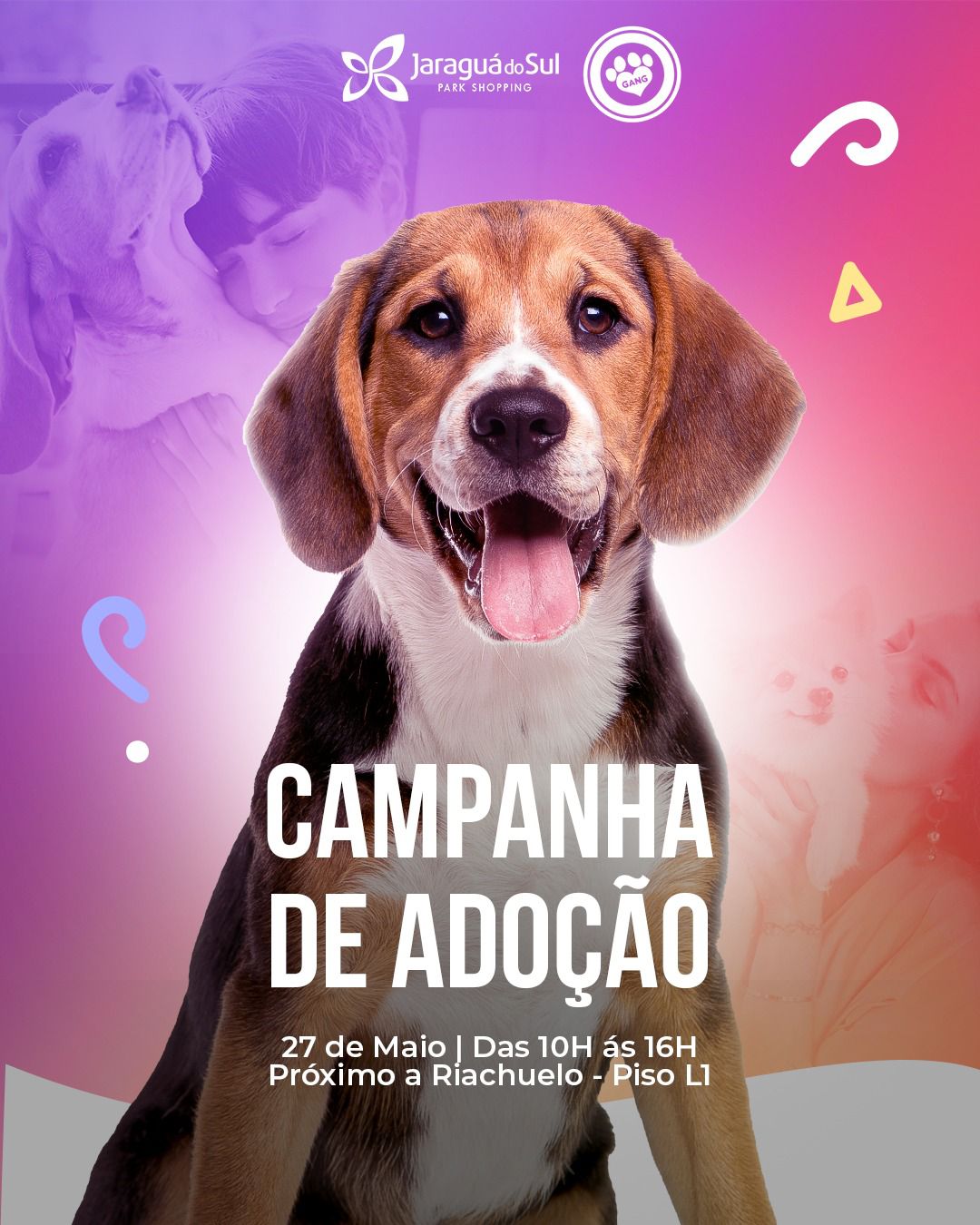 Campanha de adoção de animais acontece no Jaraguá do Sul Park Shopping neste sábado, dia 27