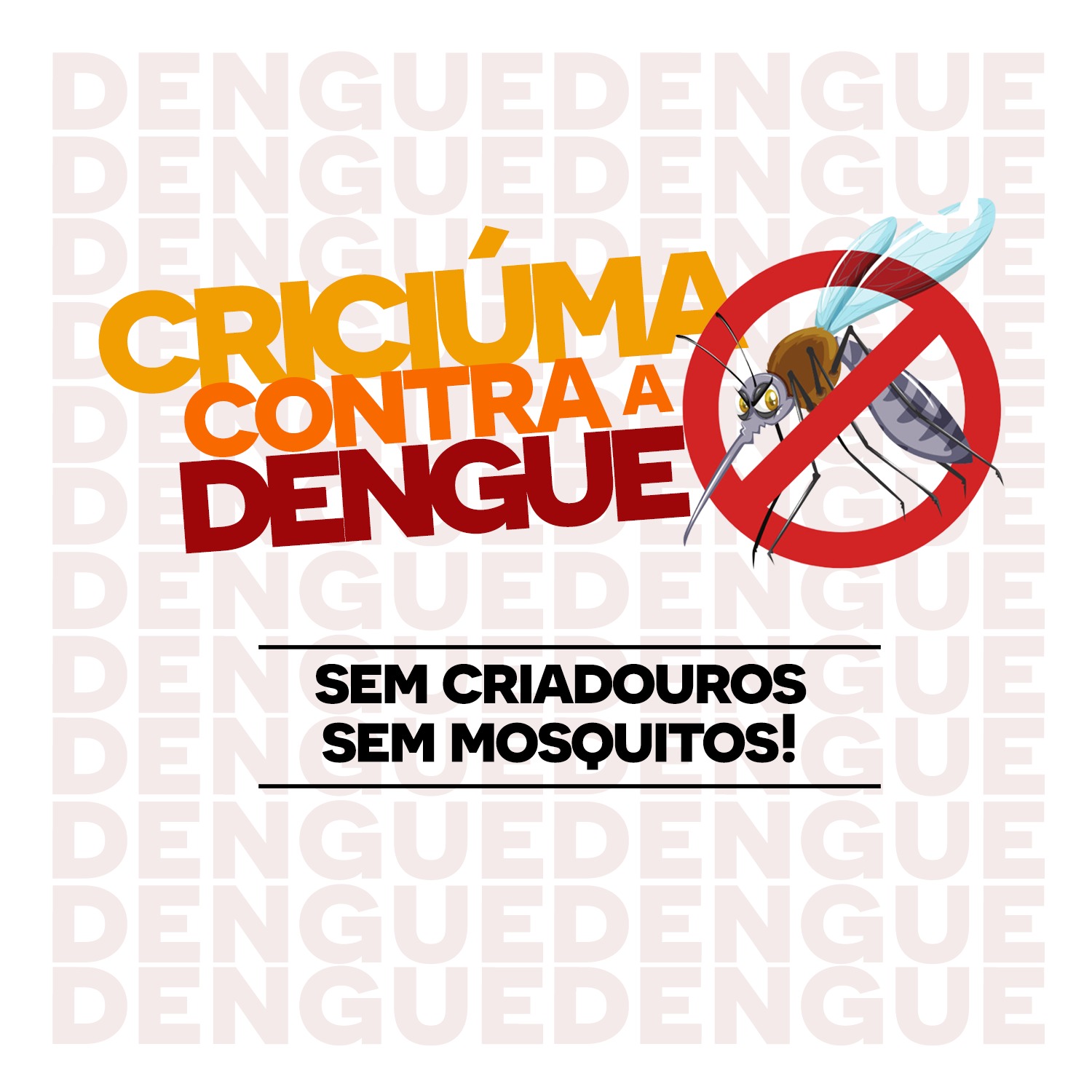 Prefeitura de Criciúma lança campanha de combate à dengue